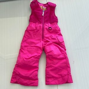 Snow dragons snow pants 2t